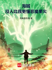 《海贼：没人比我更懂恶魔果实》小说封面