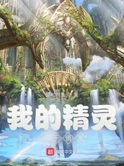 《我的精灵过于慎重》小说封面