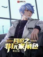 《网游之非玩家角色》小说封面