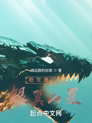 《绝世唐门之银翼凶星》小说封面