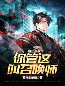 《升一级法强翻倍,你管这叫召唤?》小说封面