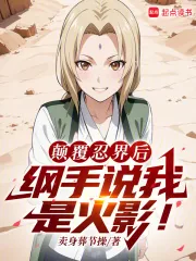 《火影：扮演反派的我成了人气角色》小说封面