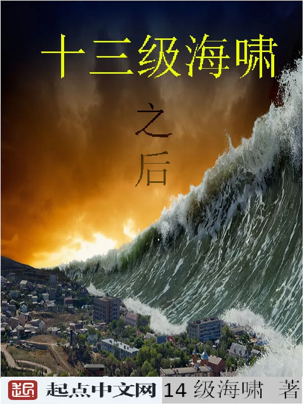 《13级海啸之后》小说封面