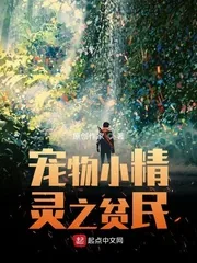 《宠物小精灵之贫民》小说封面