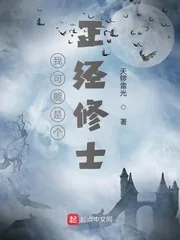 《我可能是个正经修士》小说封面