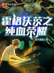 《霍格沃茨之纯血荣耀》小说封面