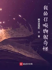 《我的召唤物很奇怪》小说封面