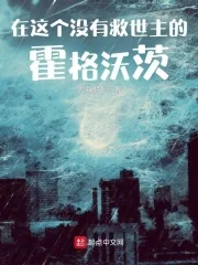 《在这个没有救世主的霍格沃茨》小说封面