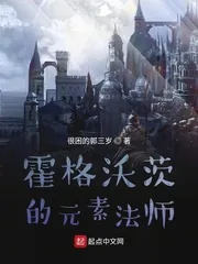 《霍格沃茨的元素法师》小说封面