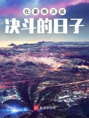 《在霍格沃兹决斗的日子》小说封面