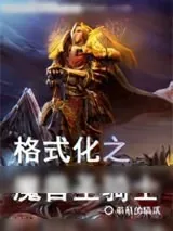 《格式化之魔兽圣骑士》小说封面