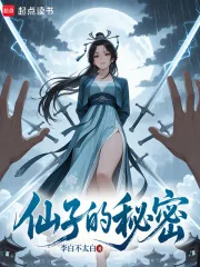 《仙子的秘密》小说封面