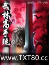 《武林高手玩网游》小说封面