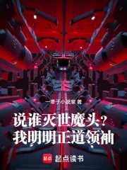 《说谁灭世魔头？我明明正道领袖！》小说封面