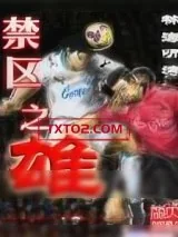 《禁区之雄》小说封面