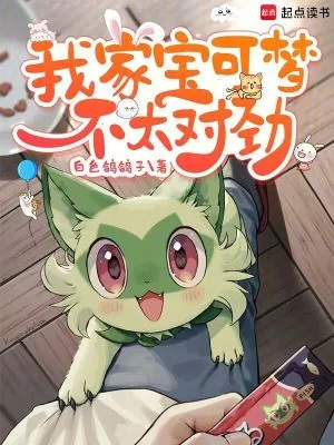 《我家宝可梦不太对劲》小说封面