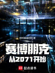 《赛博朋克：从2071开始》小说封面