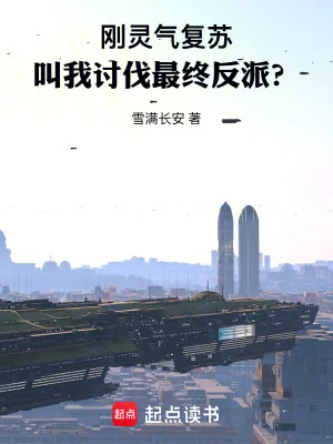 《刚灵气复苏,叫我讨伐最终反派?》小说封面