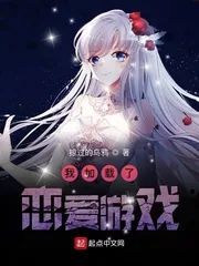 《我加载了恋爱游戏》小说封面