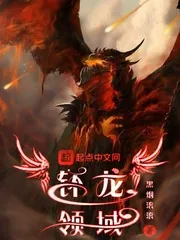 《钚龙领域》小说封面