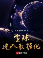 《全球进入数据化》小说封面