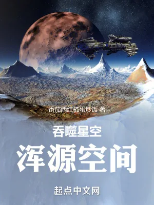 《吞噬星空：浑源空间》小说封面