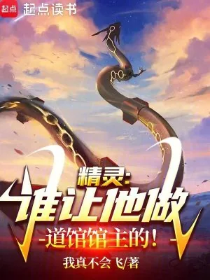 《精灵，谁让他做道馆馆主的》小说封面