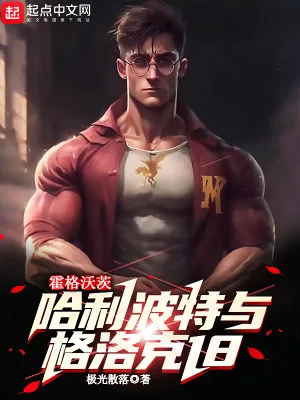 《霍格沃茨：哈利波特与格洛克18》小说封面