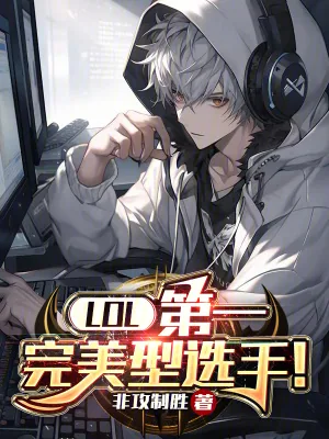 《LOL：第一完美型选手》小说封面