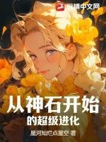 《从神石开始的超级进化》小说封面