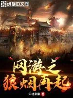 《网游之狼烟再起》小说封面