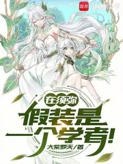 《在须弥，假装是一个学者！》小说封面