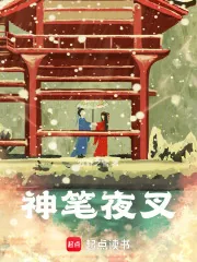 《神笔夜叉》小说封面