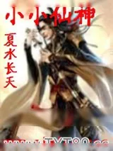 《小小仙神》小说封面