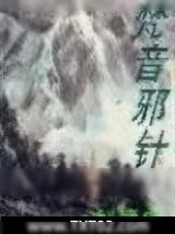 《梵音邪针》小说封面