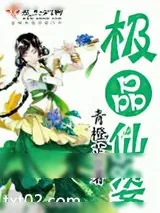 《极品仙姿》小说封面