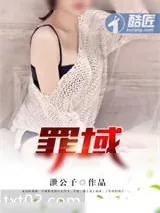 《罪域》小说封面