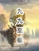 《九九至极》小说封面