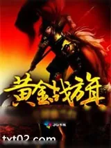 《黄金战旗》小说封面