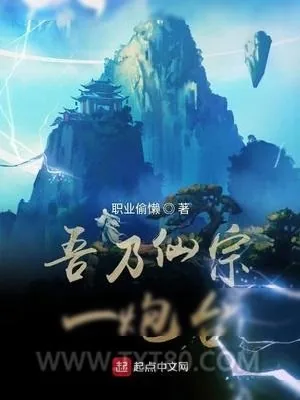 《吾乃仙宗一炮台》小说封面