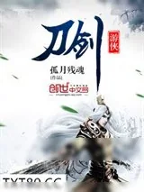 《刀剑游侠》小说封面