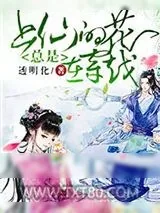 《上仙的花总是在穿越》小说封面