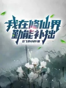 《我在修仙界勤能补拙》小说封面
