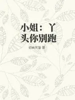 《小姐：丫头你别跑》小说封面