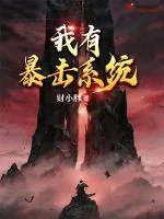 《我有暴击系统》小说封面
