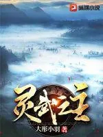 《灵武之主》小说封面