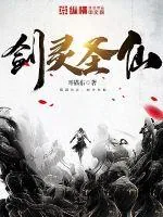 《剑灵圣仙》小说封面