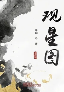 《观星图》小说封面