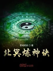 《玄天炼神诀》小说封面