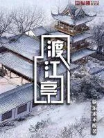 《渡江亭》小说封面